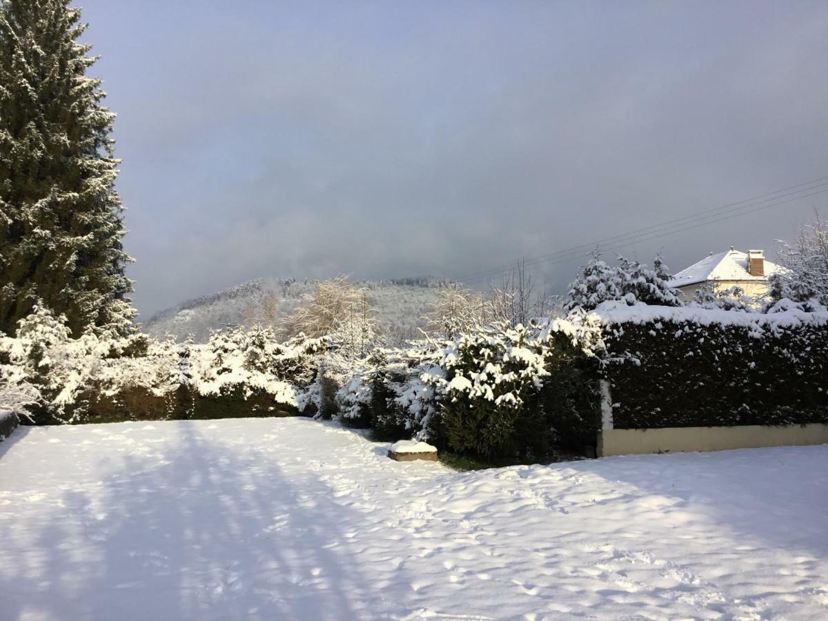 Ramonchamp Monts Et Reves Bed & Breakfast エクステリア 写真